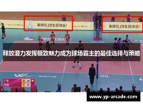 释放潜力发挥极致魅力成为球场霸主的最佳选择与策略